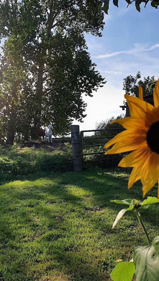 Farmors Hus Aparthotel Rude  Buitenkant foto