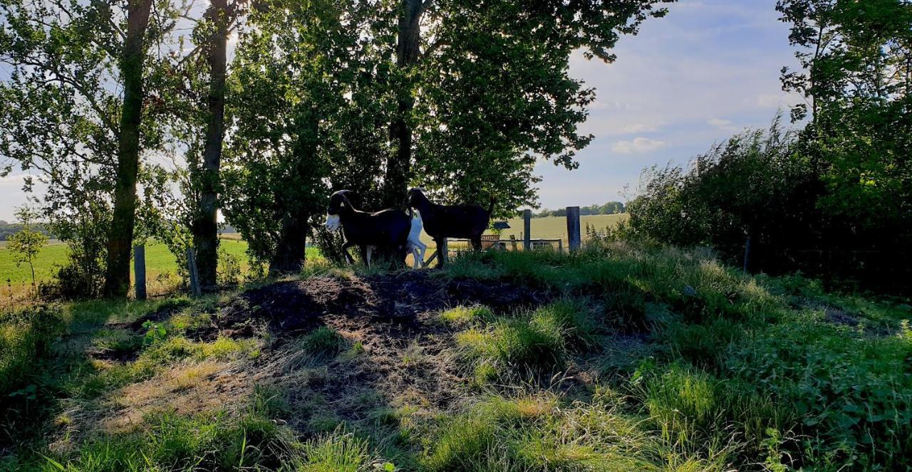 Farmors Hus Aparthotel Rude  Buitenkant foto